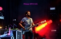 Elbow  (72)